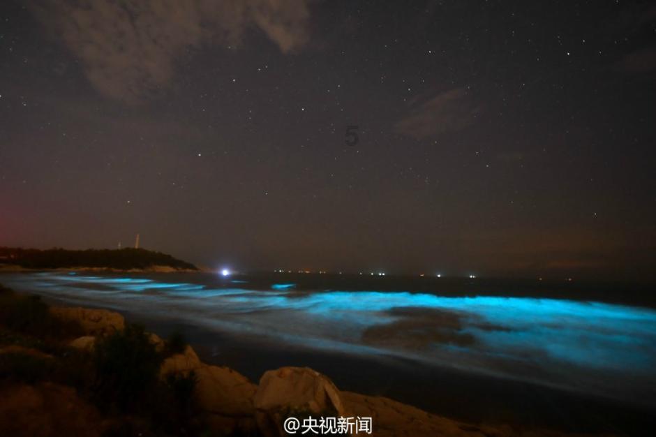 豆娃奥特曼